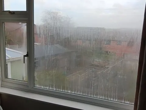 A bedroom window with misted double glazing: the view of the gardens outside is hidden by condensation between the panes